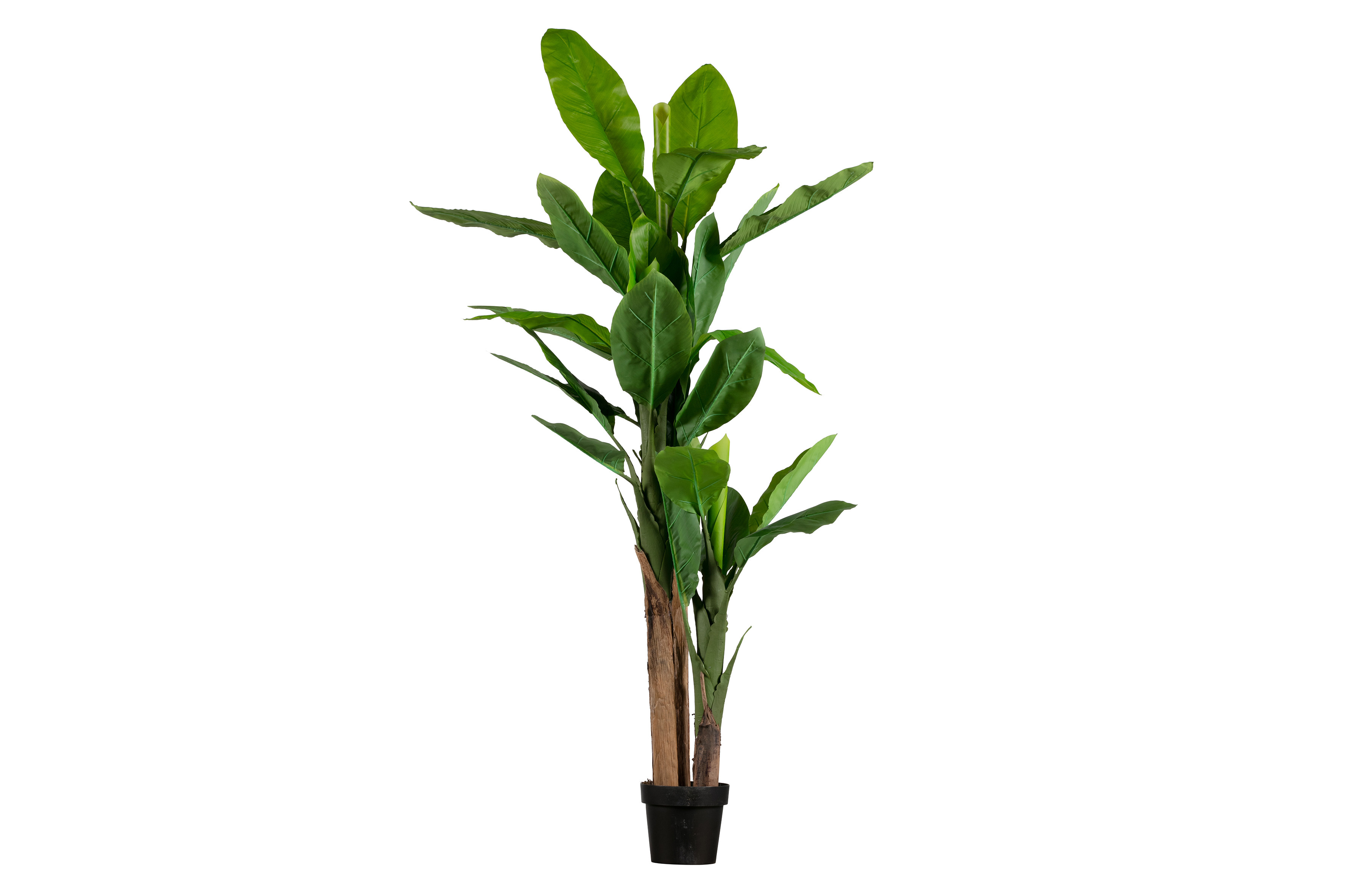 Rent a Artificial plant banana green? Rent at KeyPro furniture rental!