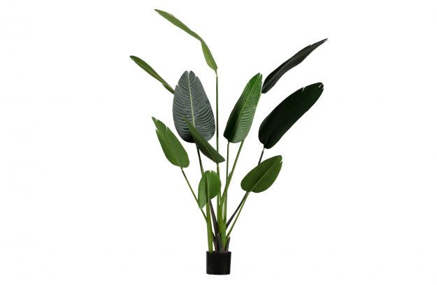 Kunstplant Strelitzia groen huren? Huur bij KeyPro meubelhuur!