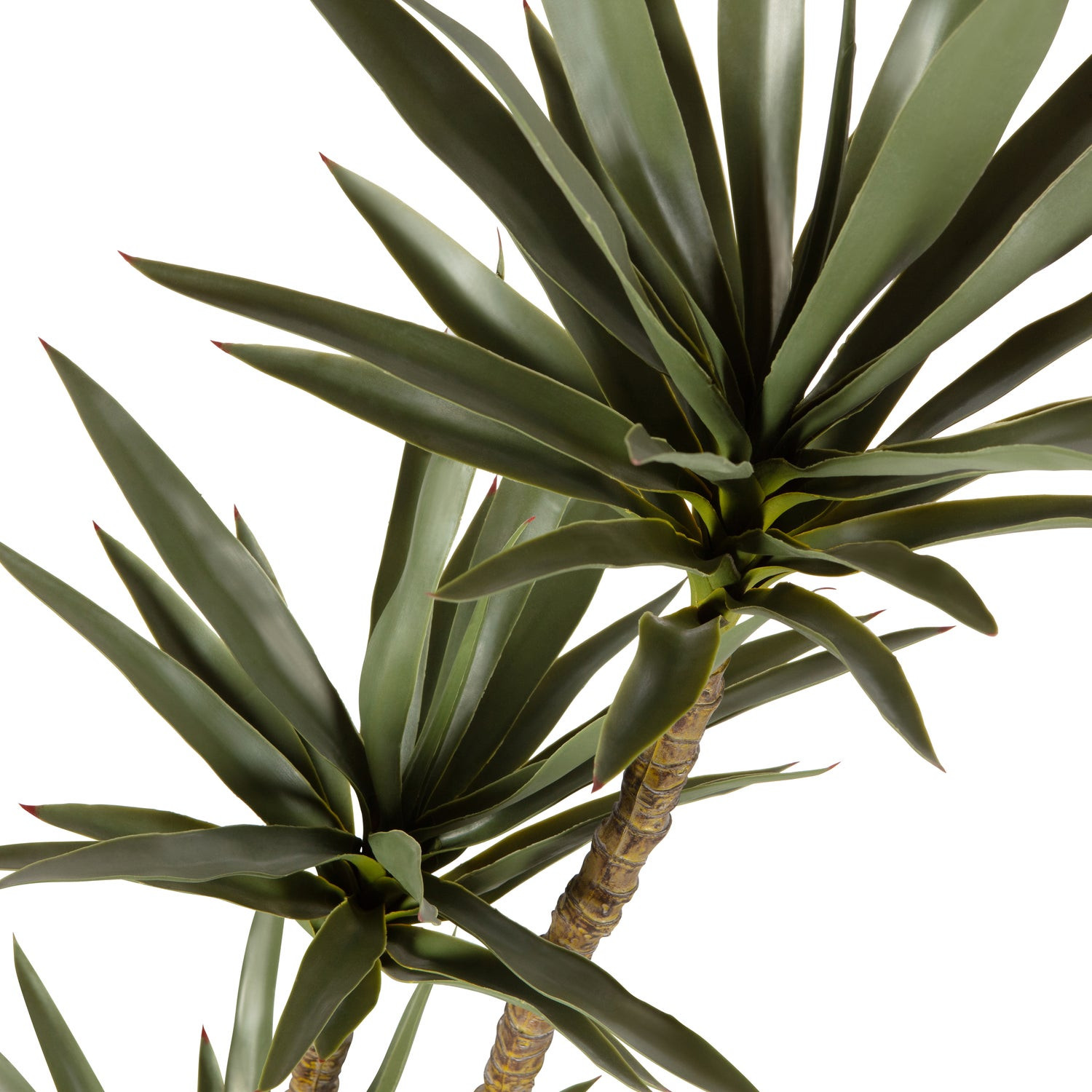 Kunstplant Yucca 155cm huren? Huur bij KeyPro meubelhuur!