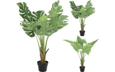 Rent a Artificial plant green? Rent at KeyPro furniture rental!