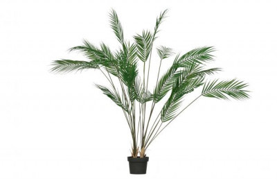 Kunstplant Palm groen huren? Huur bij KeyPro meubelhuur!