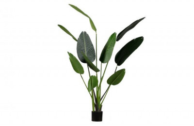 Kunstplant Strelitzia 108cm huren? Huur bij KeyPro meubelhuur!